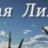 Белая Лилия RADIO TAPOK War Thunder