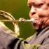 Hugh Masekela Chileshe