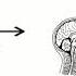 Model Of Metacognition