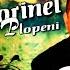 SORINEL DE LA PLOPENI VOL 6 COPIL ORFAN 2015 SORINEL DE LA PLOPENI COLAJ ALBUM 2015