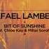 Rafael Lambert Feat Chloe Kay Mihai Sorohan Bit Of Sunshine Original Mix