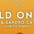 Kygo Sandro Cavazza Hold On Me Lyrics