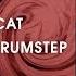 Best Of DnB Drumstep Mix Monstercat Release