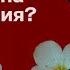 Как менструация защищает женский организм от эксплуатации Илья Колмановский Голый землекоп