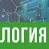 К чему приводит дефицит Омега 3 6 9 Что необходимо для здоровья