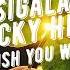 Sigala Becky Hill Wish You Well Gaullin Remix