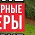 ТОП 5 аккумуляторных триммеров от 3000 рублей Какой триммер купить