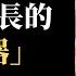 揚州美女副局長權色交易內幕 副市長給副書記戴綠帽 戴璐出軌事件刷屏了