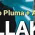 Peso Pluma Anitta BELLAKEO Letra English Translation مترجمة بوضوح