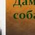 Антон Павлович Чехов Дама с собачкой аудиокнига