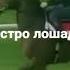 Аспи тез дав дар Руйи чахон одамхоро ба хайрат овард САМЫЙ БИСТРО ЛОШАДЬ В МЫР