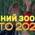 Сімейний зоопарк літо 2023