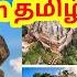 Sigiriya History In Tamil Unkown Facts About Sigiriya Sri Lanka Mr Aashif Srilanka