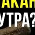 Почему у вас нет дисбактериоза Гастроэнтеролог Алексей Парамонов Ученые против мифов 19 13