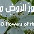 Flourish O Flowers يا زهور الروض ميدي Arabic Nasheed