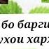 Биогумус бо барги чинор мешавад ё не Акция давом дорад