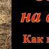 Охота на волков Как поставить петлю на волка 2 я часть