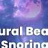 Quiet Nights Binaural Beats To Stop Snoring And Promote Peaceful Sleep