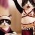 Dancing Cat Cute Dance Cat Dance Trending Music Viral Video