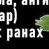 КОРА ДУБА лечебные свойства рецепт отвара ЛИСТЬЯ ДУБА при ранах ЖЕЛУДЕВЫЙ КОФЕ свойства польза