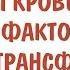 физиология Группы крови AB0 Резус фактор Rh и переливания крови