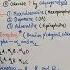 Adrenergic System Part 01 Basic Introduction And Synthesis Of Norepinephrine Noradrenaline