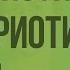 Сходство и различия прокариотических и эукариотических клеток Видеоурок по биологии 10 класс