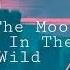 Walk The Moon Lost In The Wild Slowed