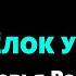 Сыновья России Кто Пчёлок Уважает Караоке