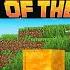 Minecraft Way Of The Bee