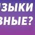 Почему языки такие разные Лекция филолога Екатерины Нильцевской