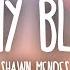 Shawn Mendes In My Blood Lyrics