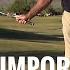 Malaska Golf The Most Important Swing Drill In Golf