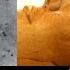 Alien Artifacts On Mars What NASA Doesn T Want You To Know