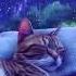 Sound Sleep With A Purring Cat And Gentle Sounds Of Rain 4k