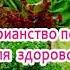 В 45 важно быть стройной