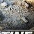 Israel Archaeologists Uncover EVIDENCE Of Philistines Artifacts Beneath Temple Mount TBN Israel