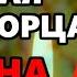 ПОПРОСИ ЗА ДЕТЕЙ ЧУДОТВОРЦА Молитва ЗА СЫНА ИЛИ ДОЧЬ Николаю Чудотворцу Православие