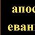 31 октября Акафист святому апостолу и евангелисту Луке