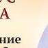 Что будет если не прорабатывать родовые программы Пример родовой программы Валерия Синельникова