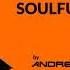 SOULFUL HOUSE 2023 09