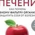 Спасение печени как помочь главному фильтру организма и защитить себя от болезней Эн Уильям аудио