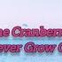 The Cranberries Never Grow Old Lyrics Unofficial Video