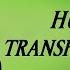 Hucow Transformation Hypnosis