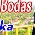 Friska MAWAR BODAS Official Music Video Pop Sunda Cover