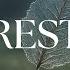 REST Soaking Worship Instrumental Prayer And Devotional