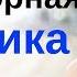 Английская Разговорная Практика Разговорный Английский Язык На Каждый День Английский