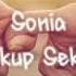 Sonia Cukup Sekali Official Lyric Video