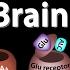 Effects Of Alcohol On The Brain Animation Professional Version