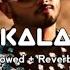 DESI KALAKAAR SLOWED REVERB Slowedandreverb Viral R M Music 007 Yoyohoneysingh